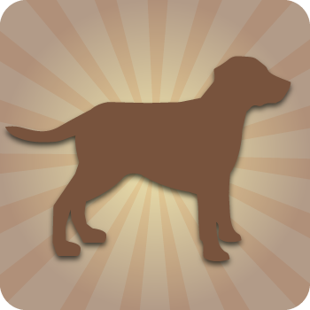 Dogs