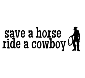 Save a Horse Car Magnet