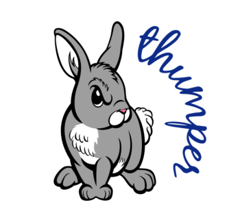 Thumper Car Magnet