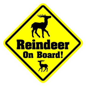 Reindeer On Board Diamond Magnet