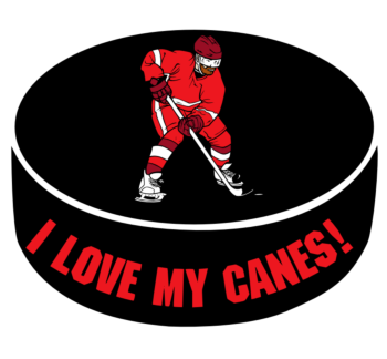 I Love My Hockey Team Decal