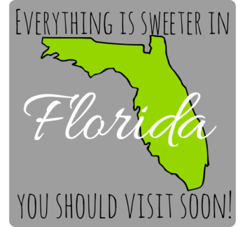Florida Static Cling