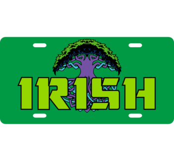 Irish License Plate