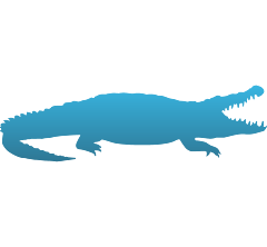 Alligator Decal