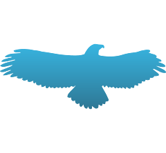 Eagle in Flight Decal