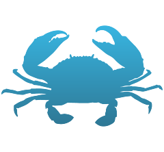 Crab Vinyl Decal