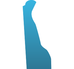 DE State Decals