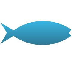 Jesus Fish Decal
