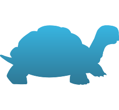 Land Turtle Decal