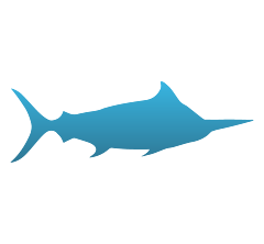 Marlin Decals