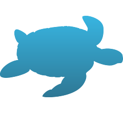 Sea Turtle Decal