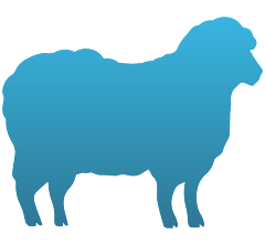 Sheep Decals
