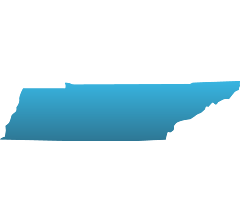 TN Decals