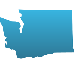 Washington Vinyl Decal