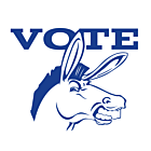Colorado Vote Democrat Decal
