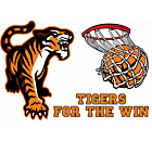 Tigers Corrugated Sign Back