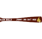 Alem Bulls Car Magnet