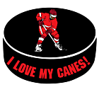 I Love My Hockey Team Decal