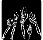 Skeleton Static Cling