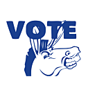 Iowa Vote Democrat Decal