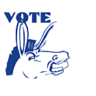 Louisiana Vote Democrat Decal
