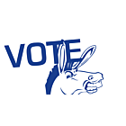 Nebraska Vote Democrat Decal