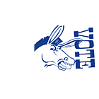 Oklahoma Vote Democrat Decal
