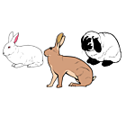 Rabbit Static Cling