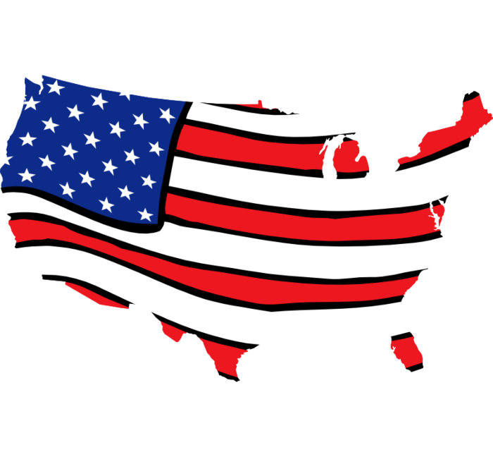 USA Decal