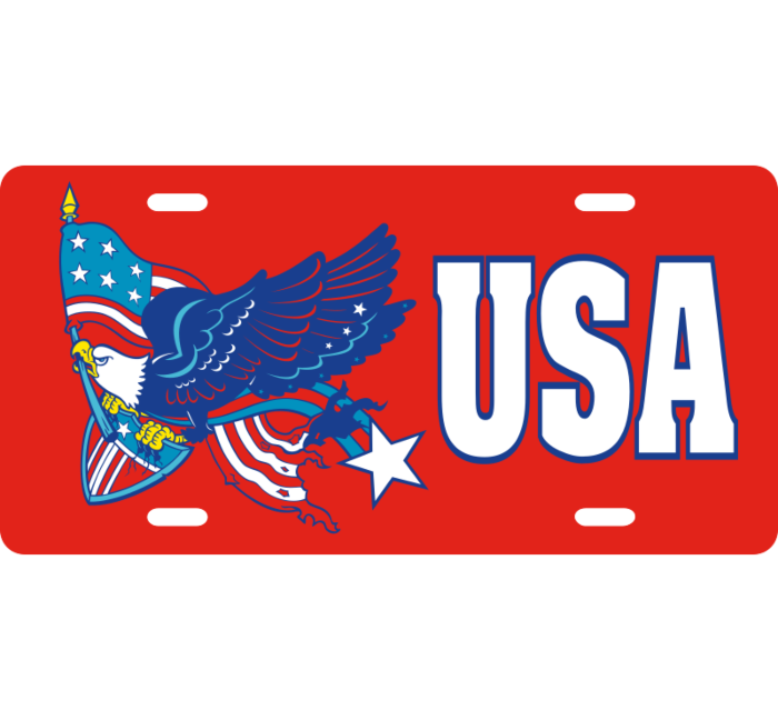 USA License Plate