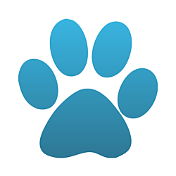 Cat Paw Car Magnet