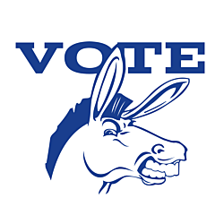 Colorado Vote Democrat Decal