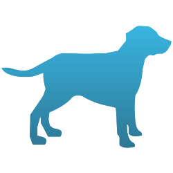Dog Decal