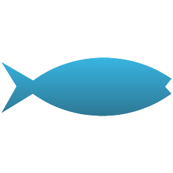 Jesus Fish Decal