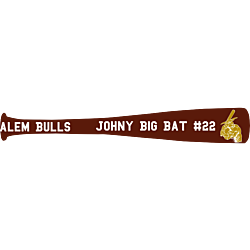 Alem Bulls Car Magnet