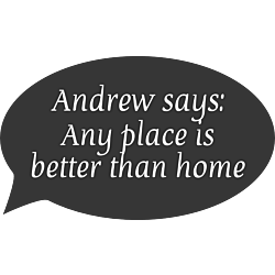 Andrew Says Decal
