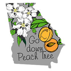 Georgia State Decal