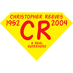 A Real Superhero Static Cling