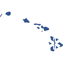Hawaii EMS Decal