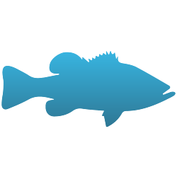Large Mouth Bass Decals
