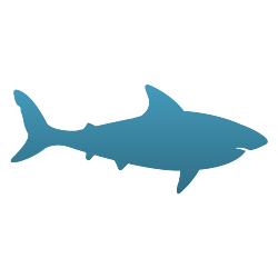 Shark Vinyl Decal