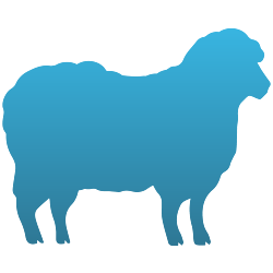 Sheep Decals