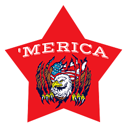 'Merica Star Car Magnet