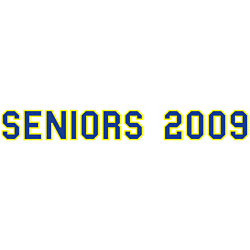Seniors 2009 Vinyl Lettering