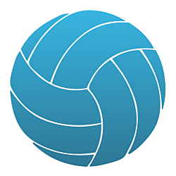 Volleyball Car Magnet